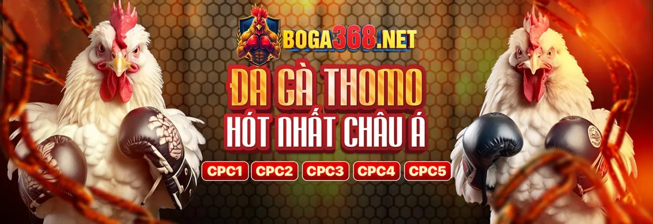 Các giải đấu và sự kiện quay hũ